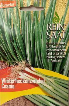 Winterheckenzwiebel Cosmo - Saatgut - Samen - Demeter - aus biologischem Anbau